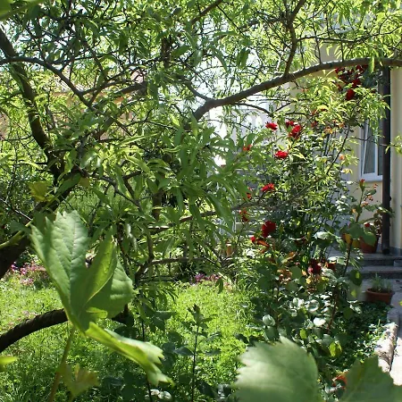 One-bedroom In Krk/insel Krk 14356